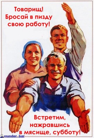 x_5720e398.jpg