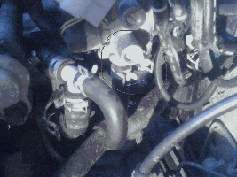 IMG_0054.jpg