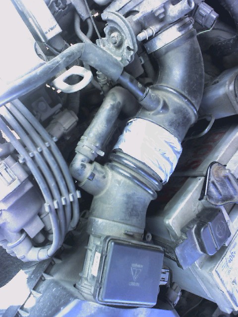 img084.jpg