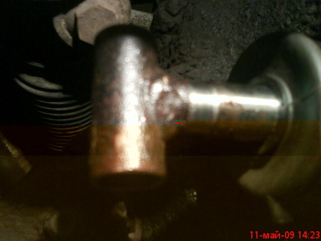 DSC01484.jpg