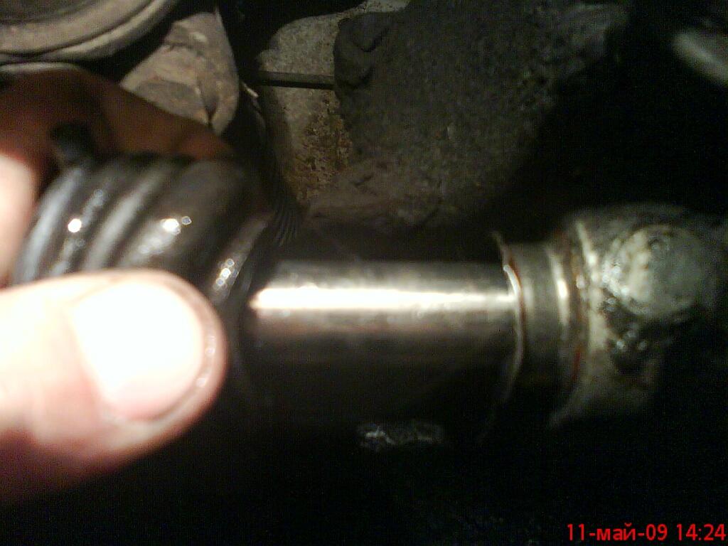 DSC01487.jpg