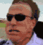 amp.gif