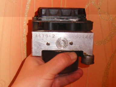 SDC10573.JPG