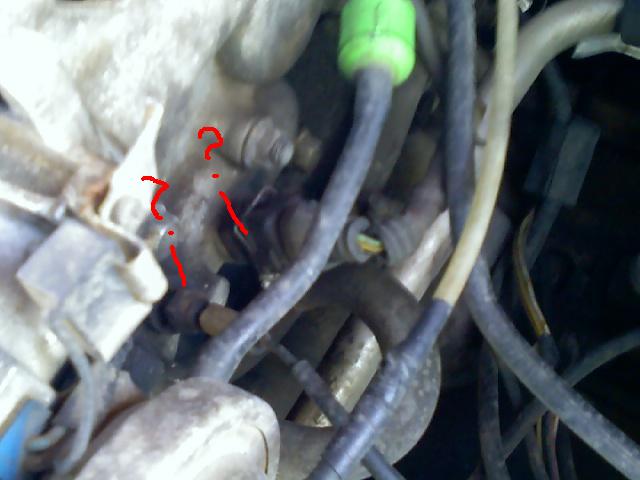 01-23-10_12311.JPG