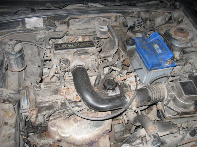 56109.JPG