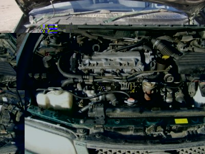 S6000191.JPG