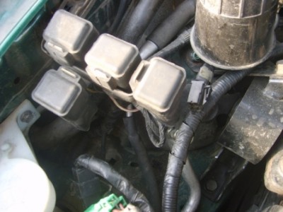 S6000196.JPG