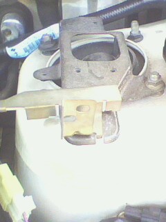 IMG0262A.jpg