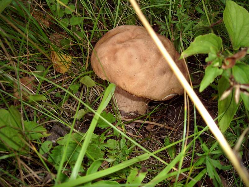 PIC_0220.JPG