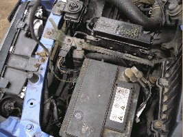 P4300234_resize.JPG