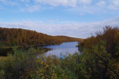 SAM_0505.jpg