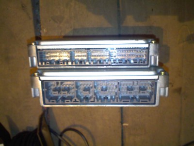 IMG032.jpg
