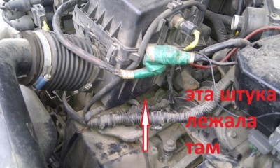 IMAG0089.jpg