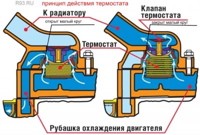  термостата.jpg
