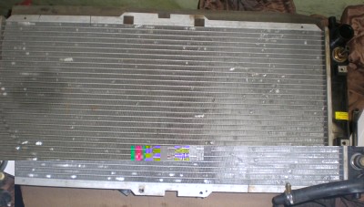 PB260258.JPG