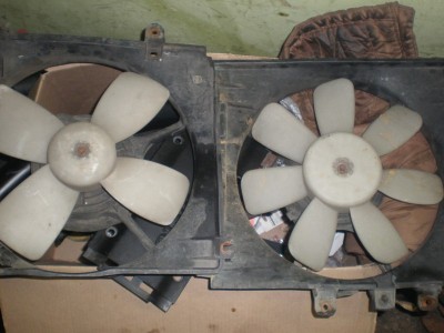 PB260261.JPG