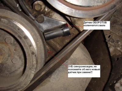 slasla_camshaft_crankshaft_04.jpg