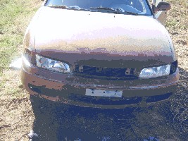 IMG_0223.jpg