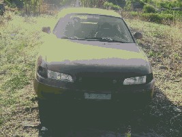 IMG_0224.jpg