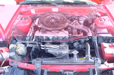 3-full.jpg