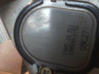 IMG0063A.jpg