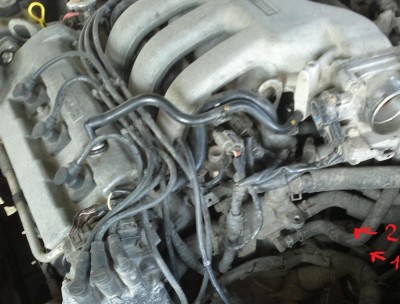 2013-04-20-286.jpg