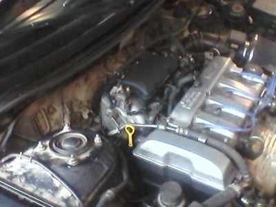 IMG0094A.jpg