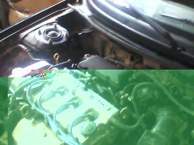 IMG0093A.jpg