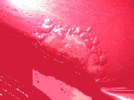 PICT0132.JPG