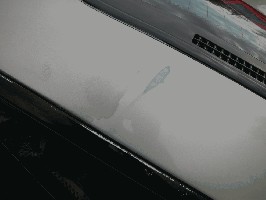 DSCN0126.jpg