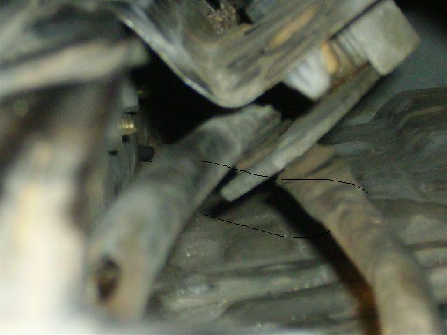 IMGP1464.JPG