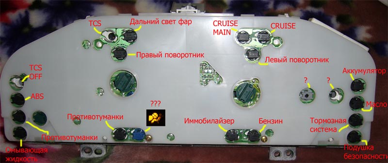 .jpg