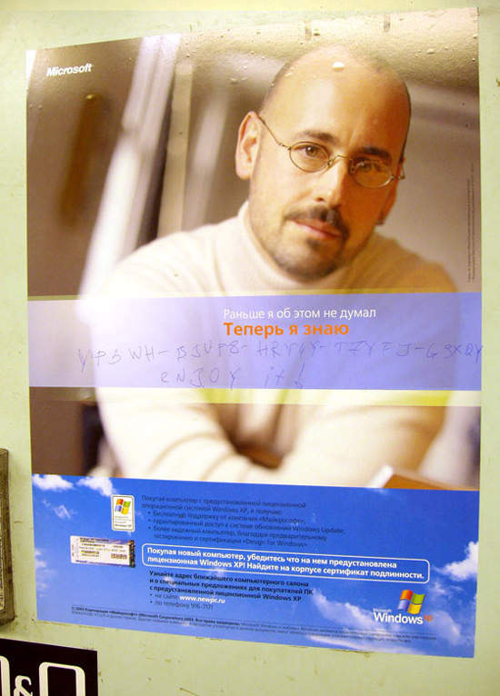 3529_windows.jpg