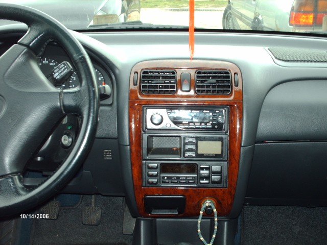 Bild 005 (640 x 480).jpg