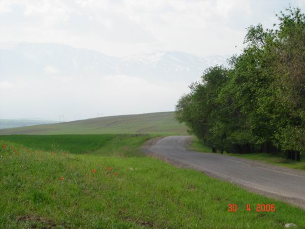  у Тянь-Шаня.jpg