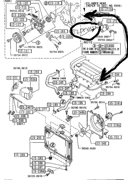 image1.JPG