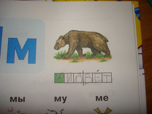 midvet.jpg