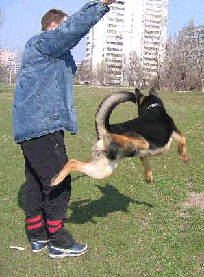 Untitled-11.jpg
