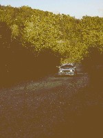 DSC01689.jpg