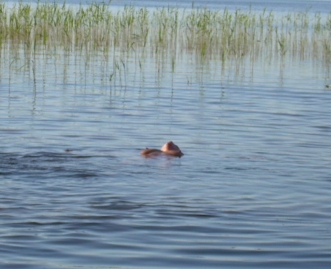 DSCN0748.JPG